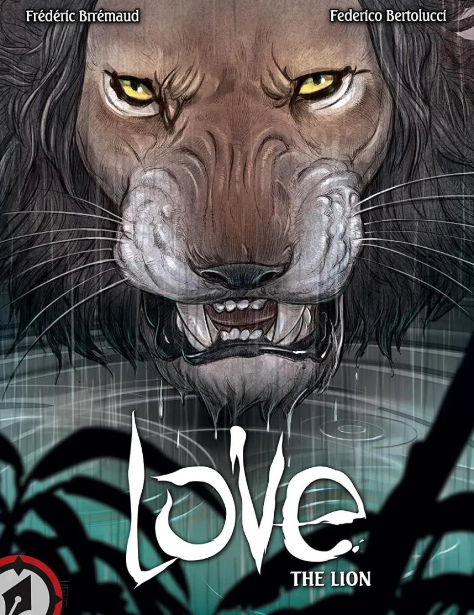 Love: The Lion by Frederic Brremaud Hardcover Book