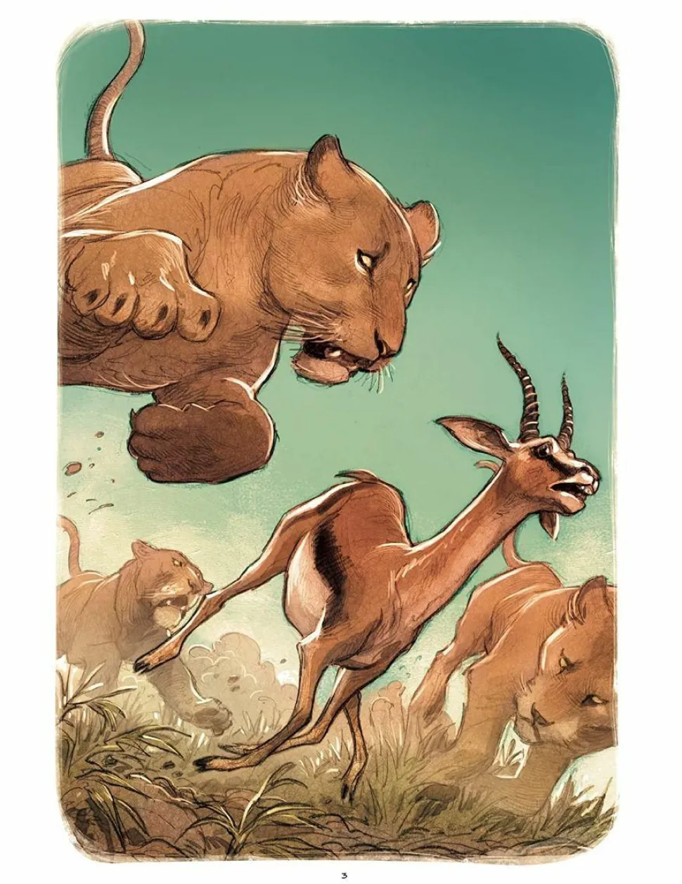 Love: The Lion by Frederic Brremaud Hardcover Book