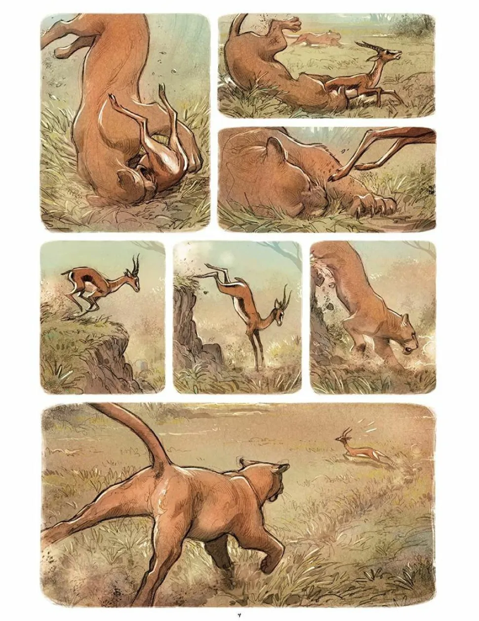 Love: The Lion by Frederic Brremaud Hardcover Book
