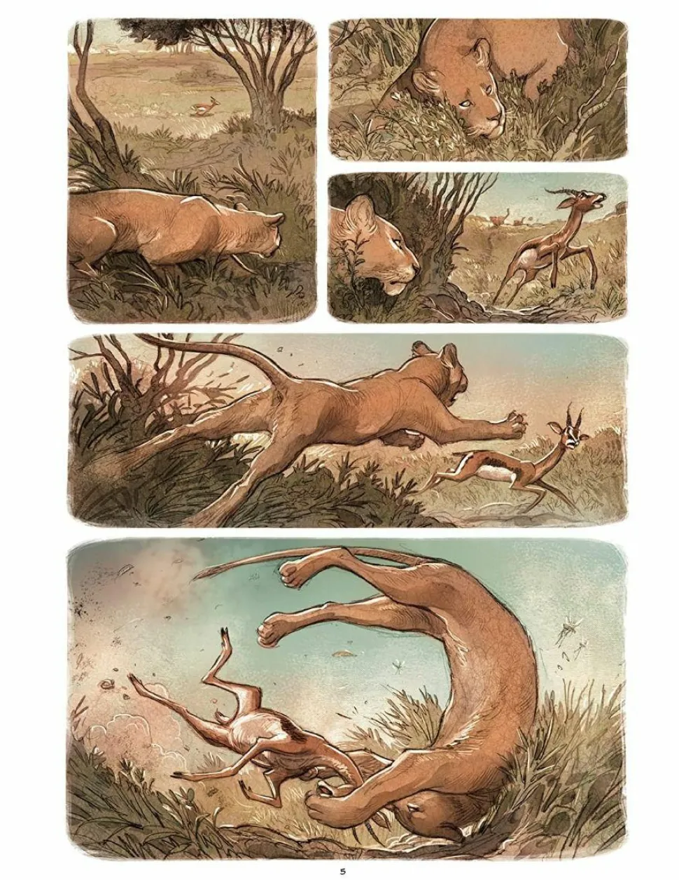 Love: The Lion by Frederic Brremaud Hardcover Book