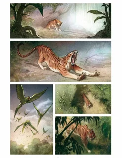 Love: The Tiger by Frederic Brremaud Hardcover Book