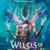 Magic: The Gathering - Wilds of Eldraine Set Booster Pack (12 Cards)