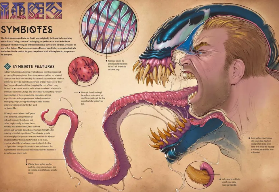 Marvel - Marvel Anatomy: A Scientific Study of the Superhuman Hardcover Book