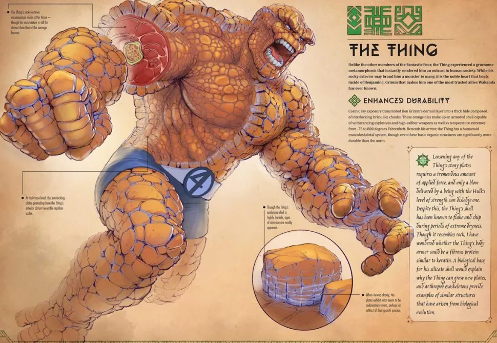 Marvel - Marvel Anatomy: A Scientific Study of the Superhuman Hardcover Book