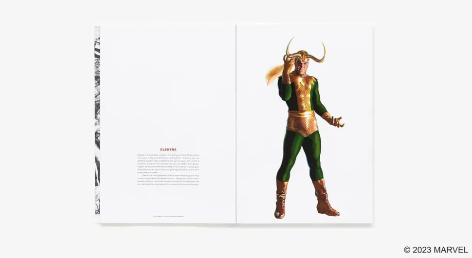 Marvel - The Alex Ross Marvel Comics Super Villains Poster Book Paperback Book