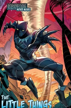 Marvel Action: Black Panther - Book One Stormy Weather Paperback Book