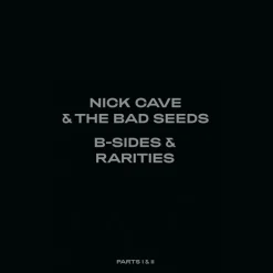 Nick Cave & the Bad Seeds - B-Sides & Rarities Parts I & II Deluxe 7xLP Vinyl Record Box Set