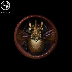 Origin - Lepidoptera Sheng Collection Replica Set by David Zhou (Set of 5)