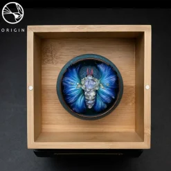 Origin - Lepidoptera Sheng Collection Replica Set by David Zhou (Set of 5)