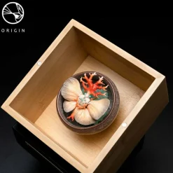 Origin - Lepidoptera Sheng Collection Replica Set by David Zhou (Set of 5)