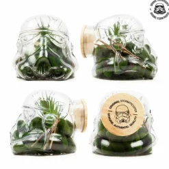 Original Stormtrooper - Original Stormtrooper Helmet 3D Terrarium / Cookie Jar
