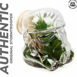 Original Stormtrooper - Original Stormtrooper Helmet 3D Terrarium / Cookie Jar