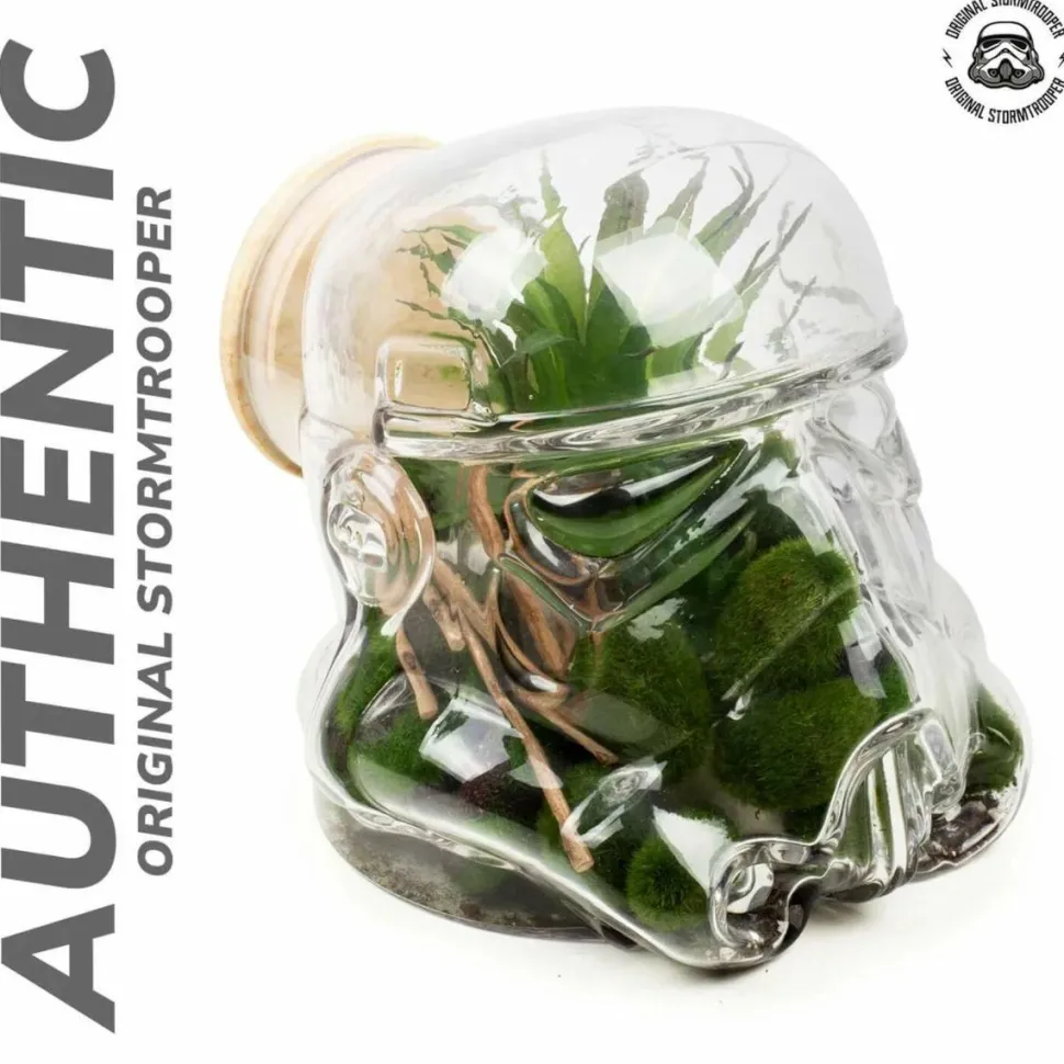 Original Stormtrooper - Original Stormtrooper Helmet 3D Terrarium / Cookie Jar