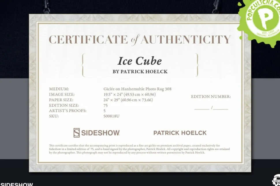 Patrick Hoelck - Ice Cube Fine Art Print