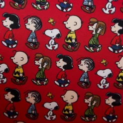 Peanuts - Lunchbox 6