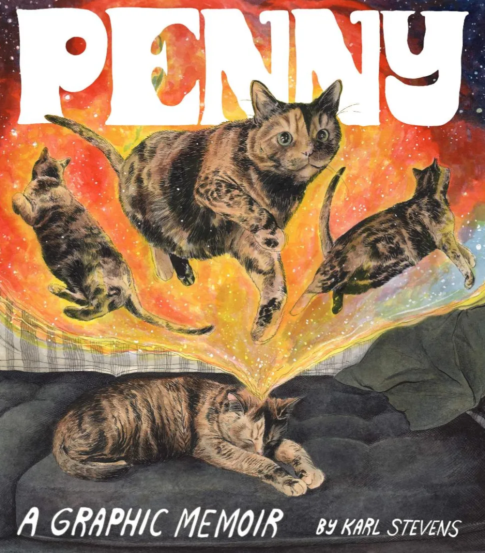 Penny: A Graphic Memoir by Karl Stevens Paperback Book