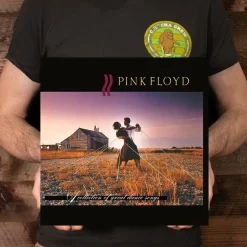 Pink Floyd - A Collection of Great Dance Songs LP Vinyl Record