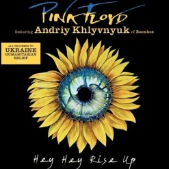 Pink Floyd - Hey Hey Rise Up featuring Andriy Khlyvnyuk / A Great Day For Freedom 2022 7" Split Single Vinyl Record