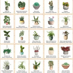 Plant Bingo - A Game for Green Thumbs Board Game