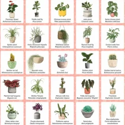Plant Bingo - A Game for Green Thumbs Board Game