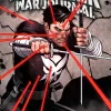 Punisher - War Journal Trade Paperback Book