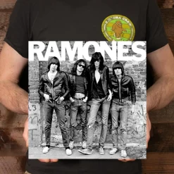 Ramones - Ramones LP Vinyl Record