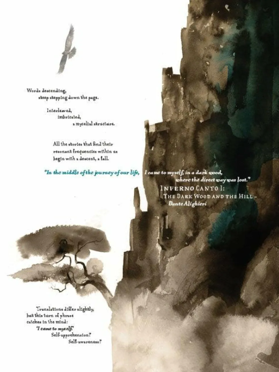 Raptor: A Sokol Graphic Novel by Dave McKean Paperback Book