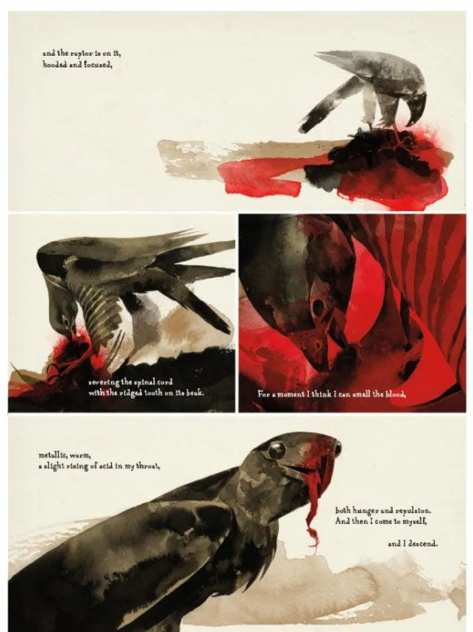 Raptor: A Sokol Graphic Novel by Dave McKean Paperback Book