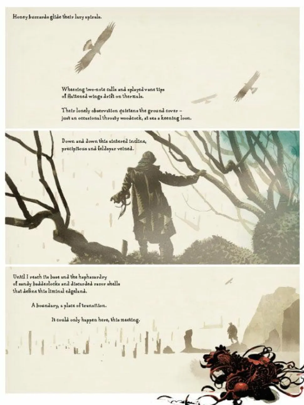 Raptor: A Sokol Graphic Novel by Dave McKean Paperback Book