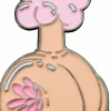 Rick and Morty - Plumbus Enamel Pin