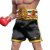 Rocky II - Rocky Balboa in Boxing Gear 1/6th Scale Action Figure