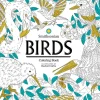 Smithsonian - Birds Colouring Book by Rachel Curtis Paperback