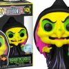 Snow White (1937) - Disguised Evil Queen with Raven Blacklight Pop! Vinyl Figure