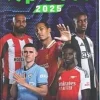 Soccer - 2025 Premier League Panini Top Class Soccer Trading Cards Fat Pack (24 Cards)