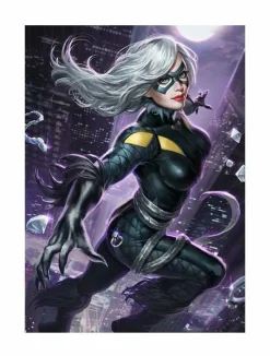 Spider-Man - Black Cat Premium Art Print by Alex Pascenko