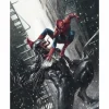 Spider-Man - Spider-Man vs Venom Fine Art Print by Marco Mastrazzo