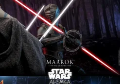 Star Wars: Ahsoka - Marrok 1/6th Scale Hot Toys Action Figure