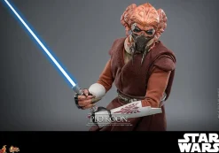 Star Wars Episode III: Revenge of the Sith - Plo Koon 1/6th Scale Hot Toys Action Figure