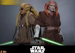 Star Wars Episode III: Revenge of the Sith - Saesee Tiin 1/6th Scale Hot Toys Action Figure