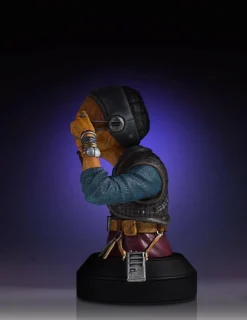 Star Wars Episode VII: The Force Awakens - Maz Kanata 6” Mini Bust