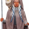 Star Wars: Rebels - Ahsoka Tano 1/6th Scale Mini Bust