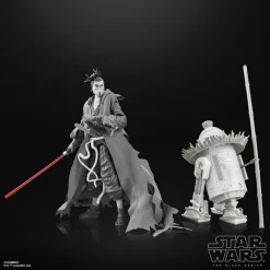 Star Wars: Visions - The Ronin & R5-D56 Black Series 6