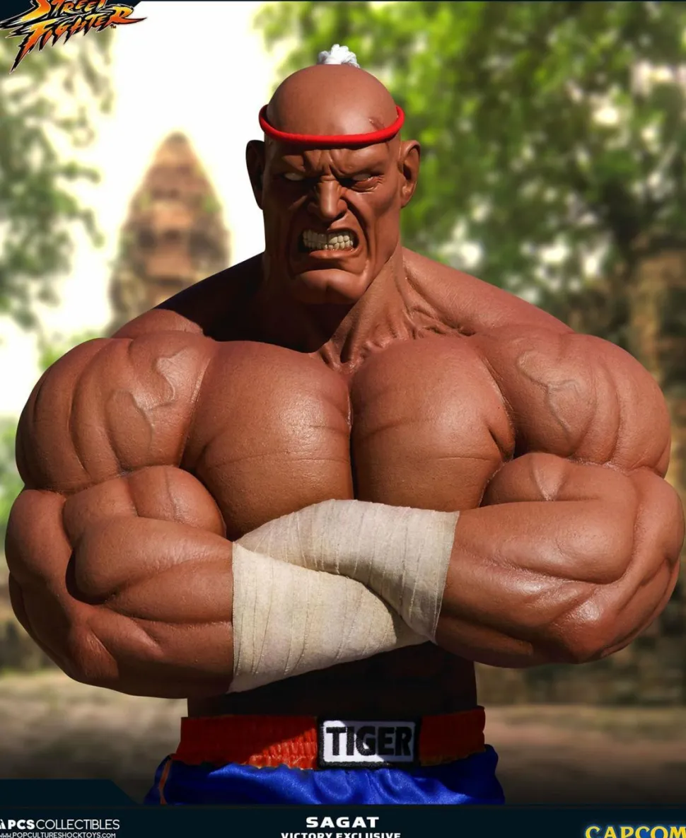 Street Fighter - Sagat Evolution (Set of 2) Exclusive 1/3 Scale Statues