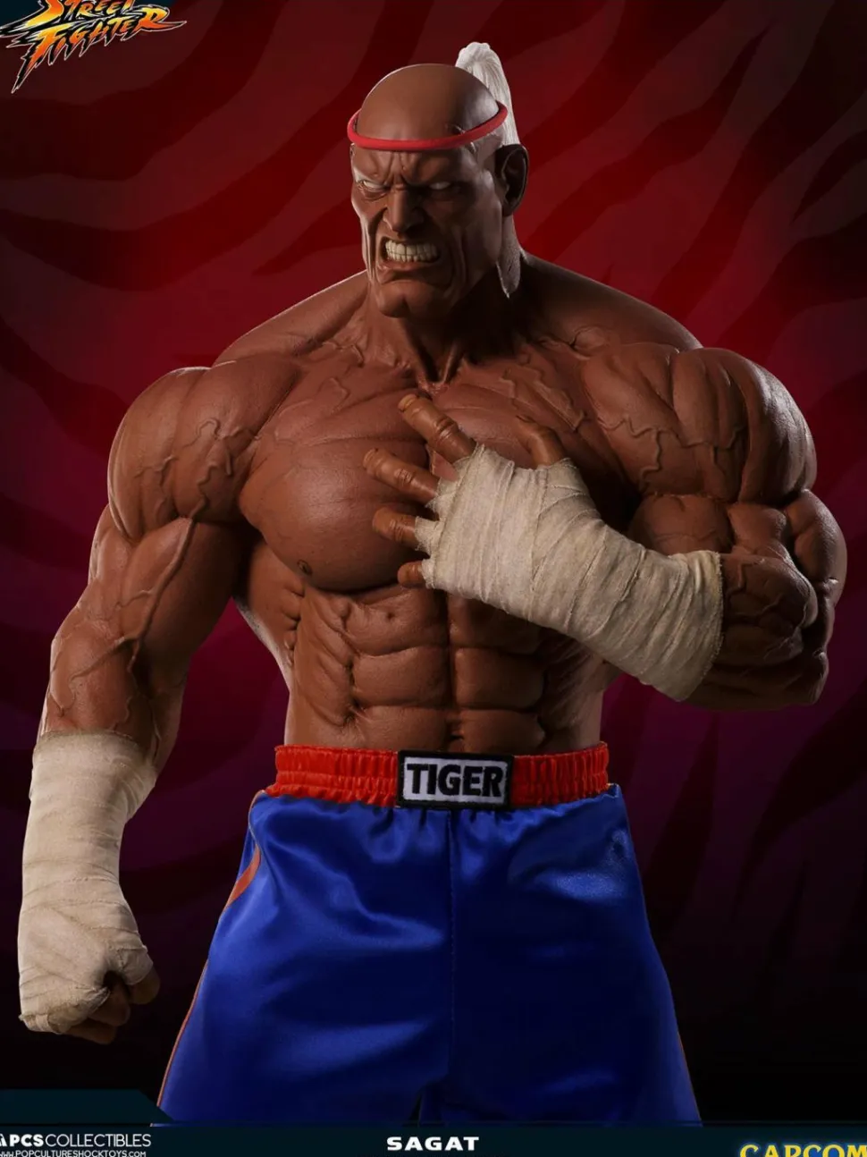 Street Fighter - Sagat Evolution (Set of 2) Exclusive 1/3 Scale Statues