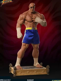 Street Fighter - Sagat Evolution (Set of 2) Exclusive 1/3 Scale Statues