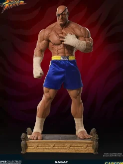 Street Fighter - Sagat Evolution (Set of 2) Exclusive 1/3 Scale Statues