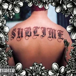 Sublime - Sublime 2xLP Vinyl Record