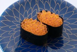 Syuto Seiko - Ikura (Salmon Roe) Sushi 1:1 Scale Life-Size Plastic Model Kit Replica