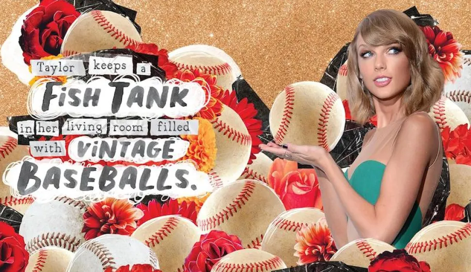 Taylor Swift - The Book of Taylor: 50 Reasons Taylor Swift Rules the World Hardcover Book