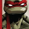 Teenage Mutant Ninja Turtles - The IDW Collection Volume 01 Trade Paperback Book
